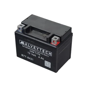 TaoTao E1-350 Electric ATV Battery Replacement