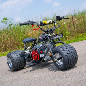 2024 “Black Cherry” Special Edition TGV Mini Trike