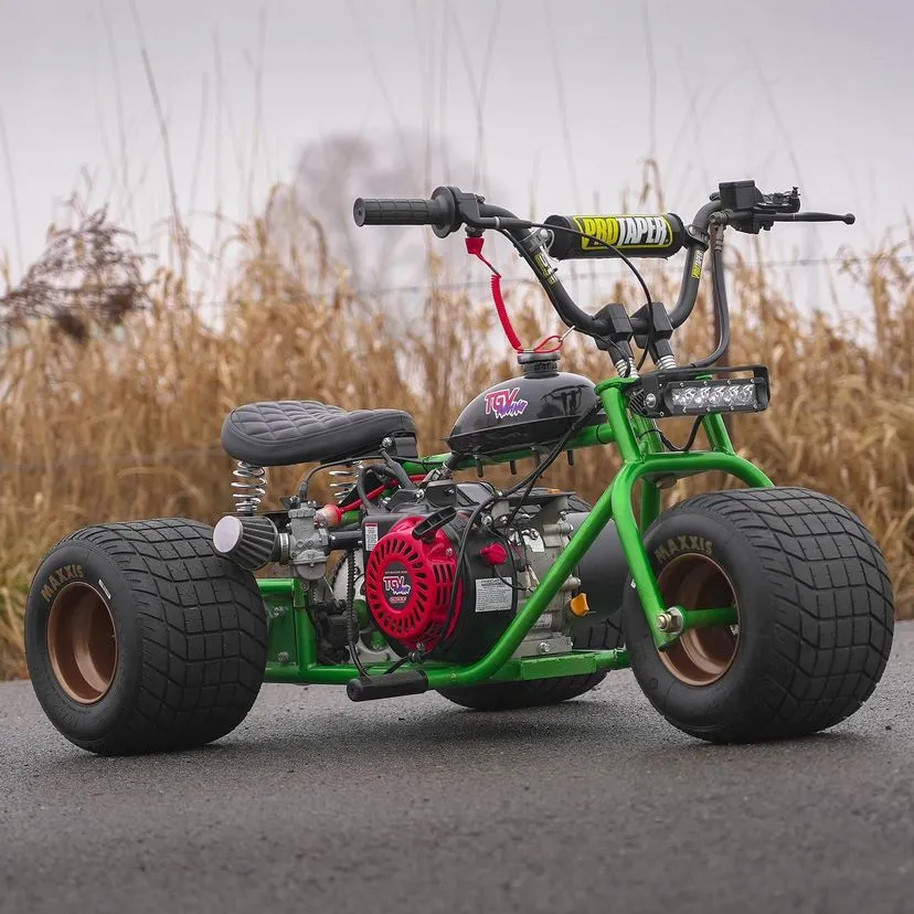 2024 GREEN WIDOW SPECIAL EDITION TGV TRIKE!” 1 2024 GREEN WIDOW SPECIAL EDITION TGV TRIKE!”