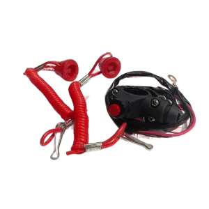 Mini-Trike Kill Switch
