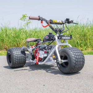 2024 “GT” Special Edition TGV Mini Trike