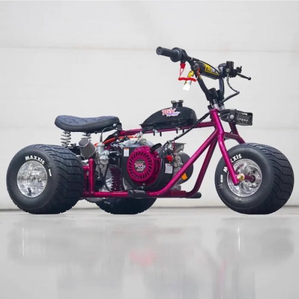 Racing Raspberry - TGV Garage Shop